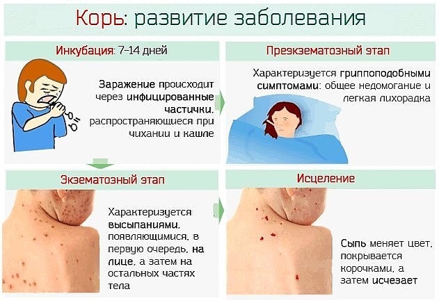«ОСТОРОЖНО КОРЬ!» IMG_20190123_162421_110.jpg