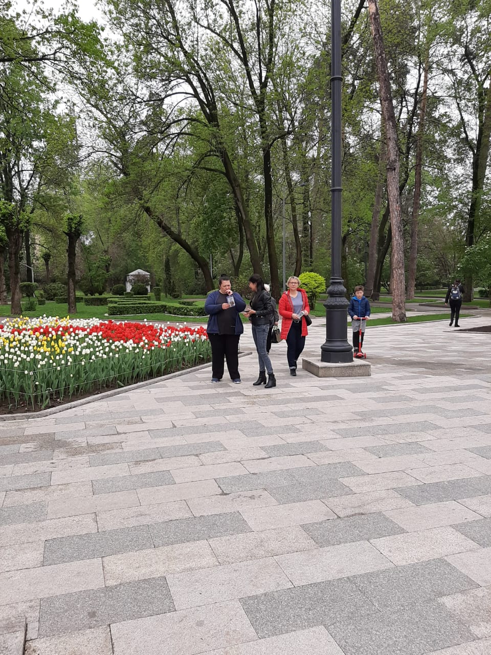 WhatsApp Image 2019-04-22 at 12.52.44 (1).jpeg
